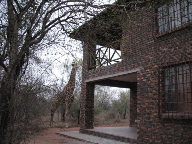 Crowe'S Nest Villa Marloth Park Bagian luar foto